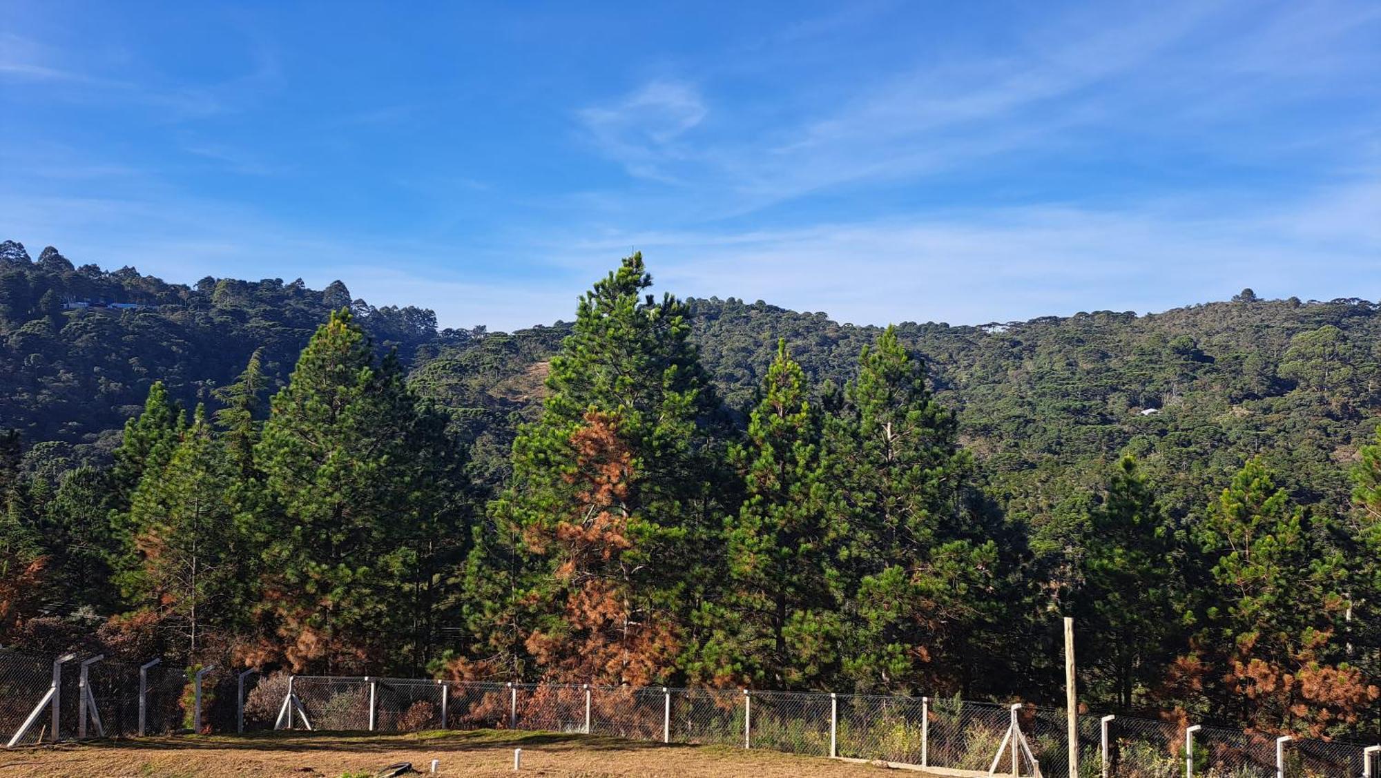 Chale Luz Do Luar Romantismo E Uma Linda Vista Campos do Jordão 외부 사진